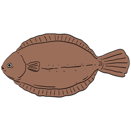 Fish  Icon