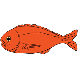 Fish  Icon