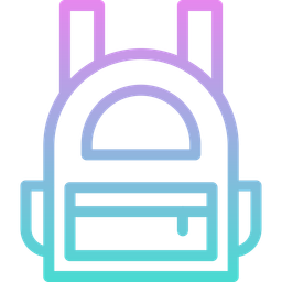 Bag  Icon