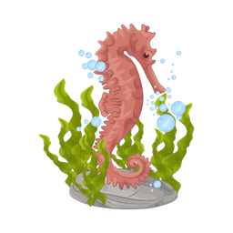 Seahorse  Icon