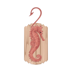 Seahorse  Icon