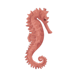 Seahorse  Icon