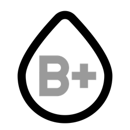 B plus blood  Icon