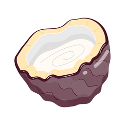 Coconut  Icon