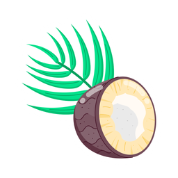 Coconut  Icon