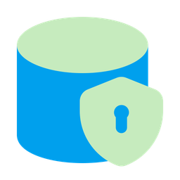 Data security  Icon