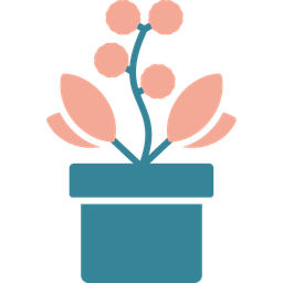 Australian flower  Icon