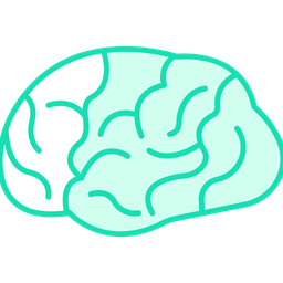 Brain  Icon