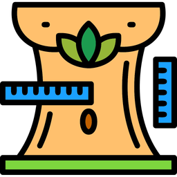 Body measurements  Icon