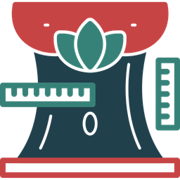 Body measurements  Icon