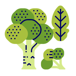 Broccoli  Icon