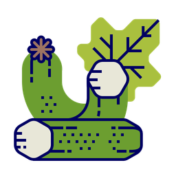 Courgette  Icon