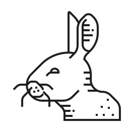 Rabbit  Icon