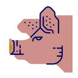 Pig  Icon