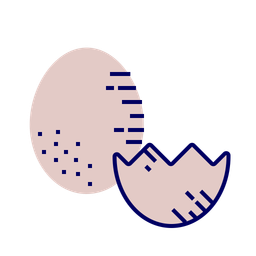 Chicken eggs  Icon