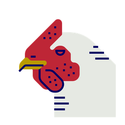 Chicken  Icon