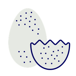 Goose eggs  Icon