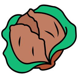 Cabbage  Icon