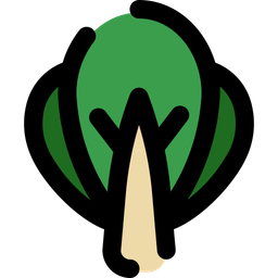 Bok choy  Icon