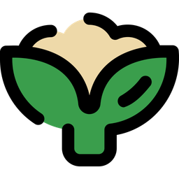 Cauliflower  Icon