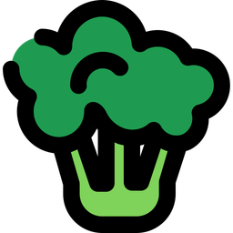 Brocolli  Icon