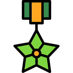 Bronze Star  Icon