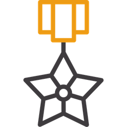 Bronze Star  Icon