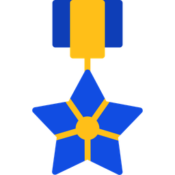 Bronze Star  Icon