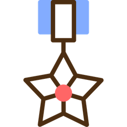 Bronze Star  Icon