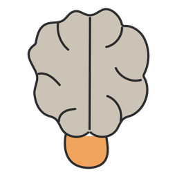 Brain  Icon