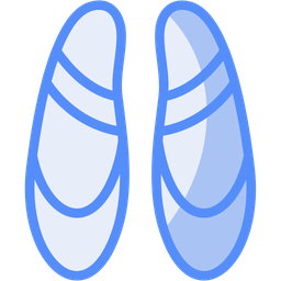 Ballet flat  Icon