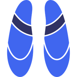 Ballet flat  Icon