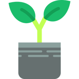 Plant  Icon