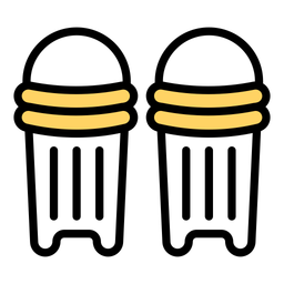 Cricket Pads  Icon