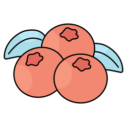 Berry  Icon