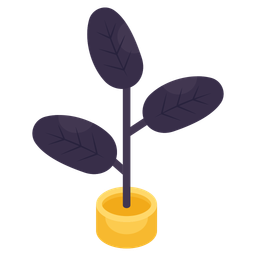 Decorative Plant  Icon