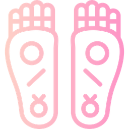 Buddha s footprint  Icon