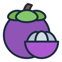 Mangosteen  Icon