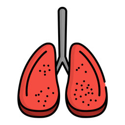 Lungs  Icon