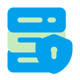 Data security  Icon