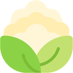 Cauliflower  Icon