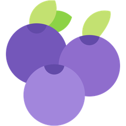 Blueberries  Icon