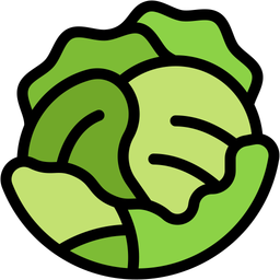 Cabbage  Icon