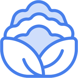 Cauliflower  Icon