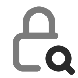 Lock search  Icon