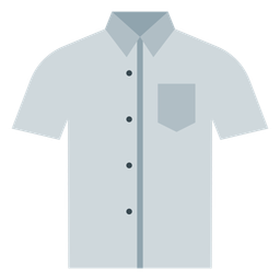 Shirt  Icon