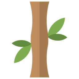 Bamboo  Icon