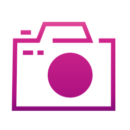 Camera  Icon