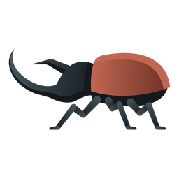 Beetle  Icon