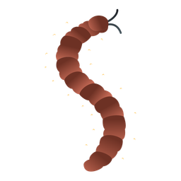 Centipede  Icon